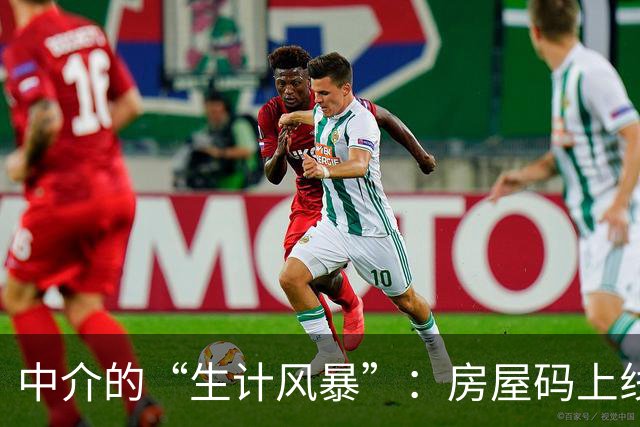 中介的“生计风暴”：房屋码上线，一切皆透明！