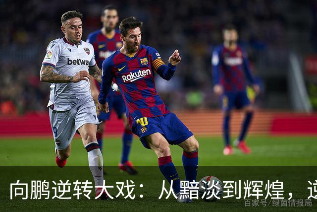 向鹏逆转大戏：从黯淡到辉煌，逆风翻盘的球场传奇！